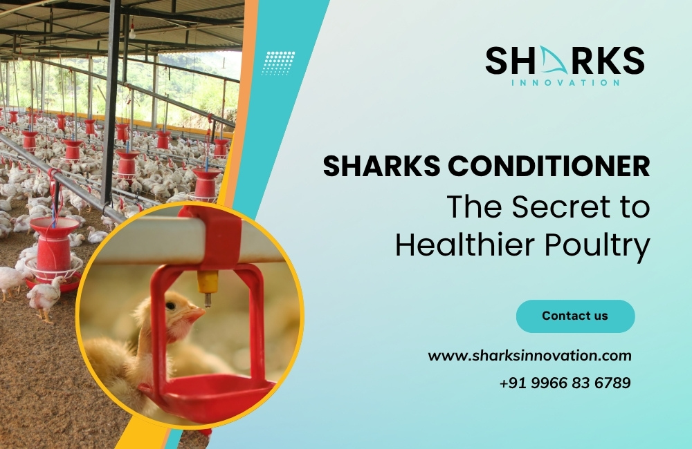 Sharks Water Conditioner in Hyderabad For Poultry Farms