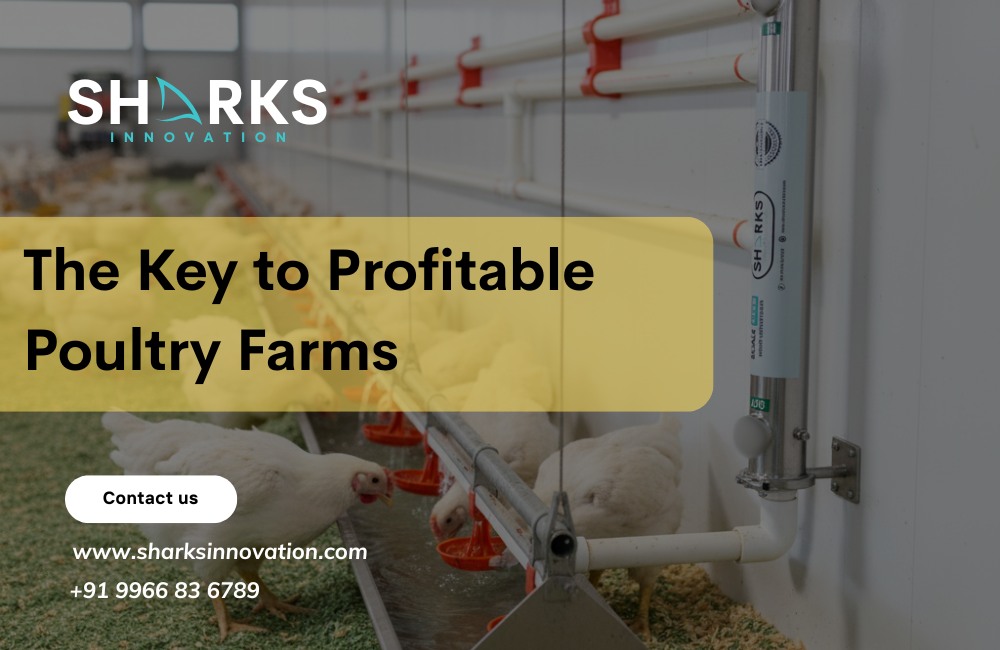Why Modern Poultry Farms Rely on Water Conditioners for Success