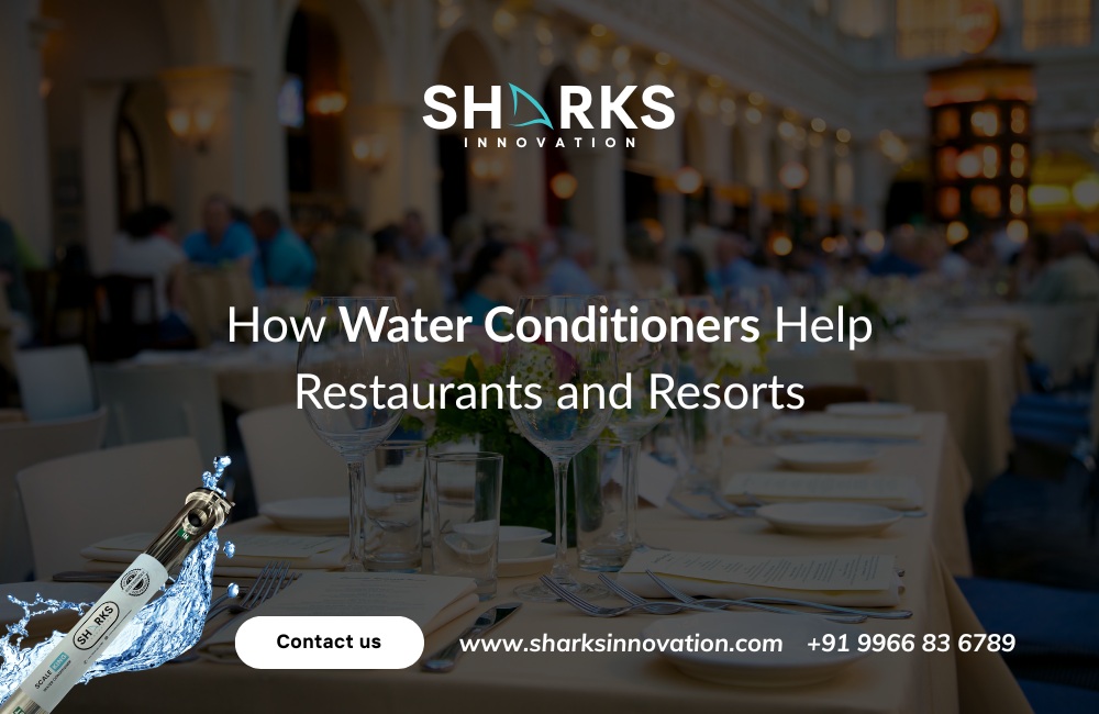 How Water Conditioners Improve Water Quality in Restaurants and Resorts