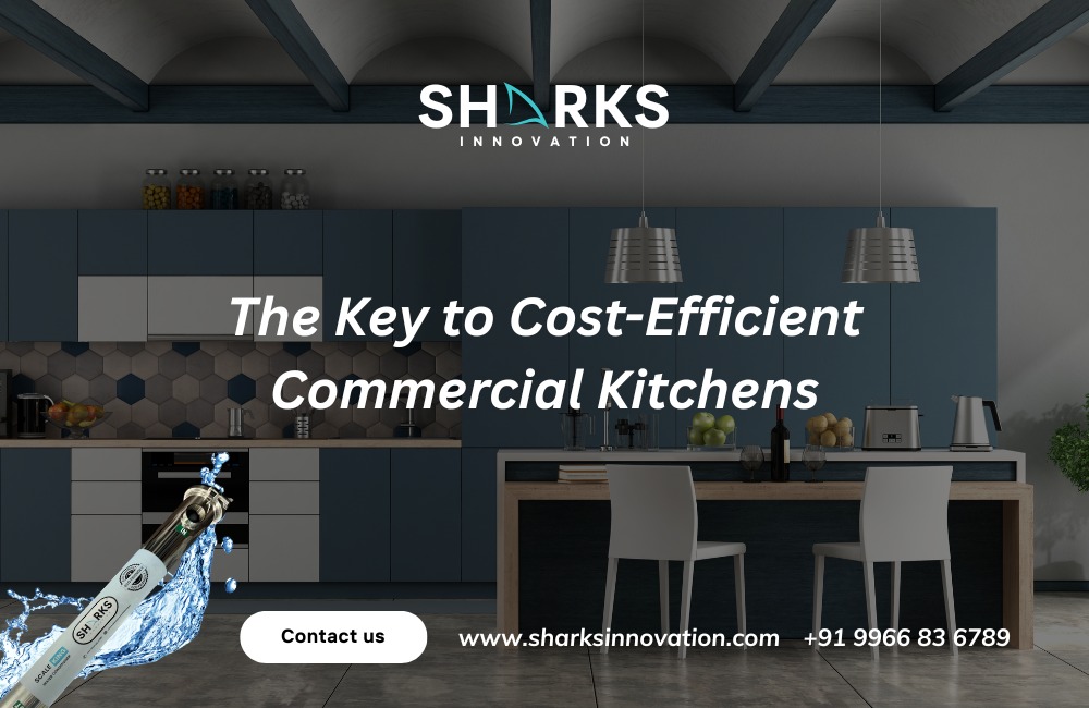 How Water Conditioners Reduce Maintenance Costs in Commercial Kitchens