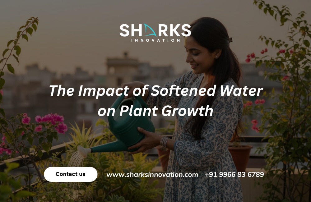 Softened Water and Plant Health: Should You Use a Water Conditioner?